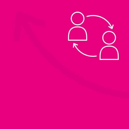 Berufliche Integration